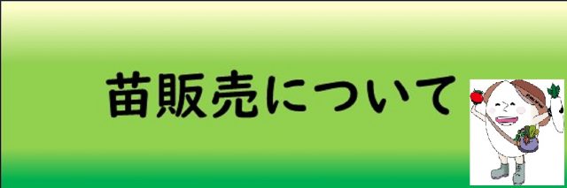 苗販売