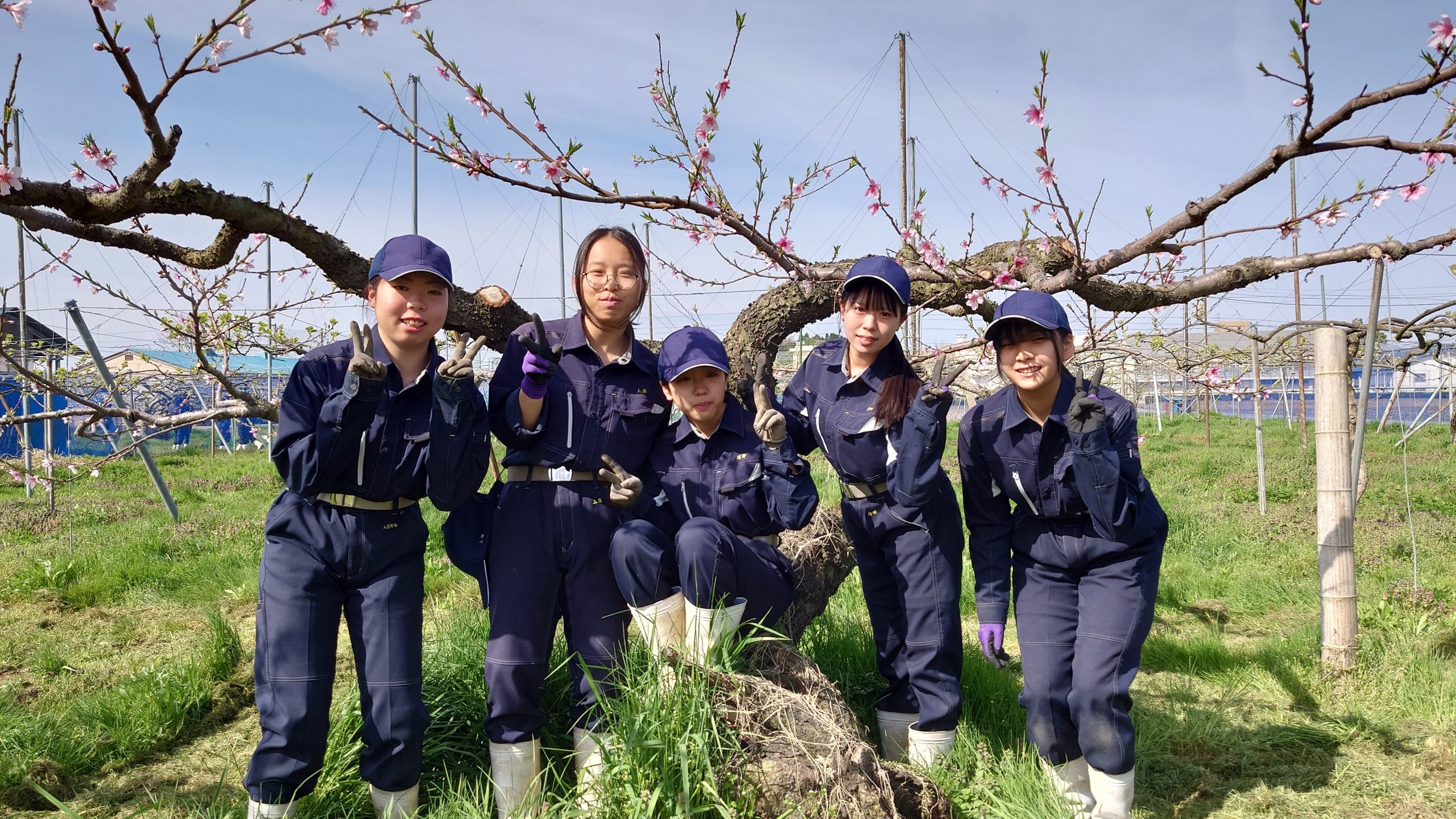 福井農林高等学校