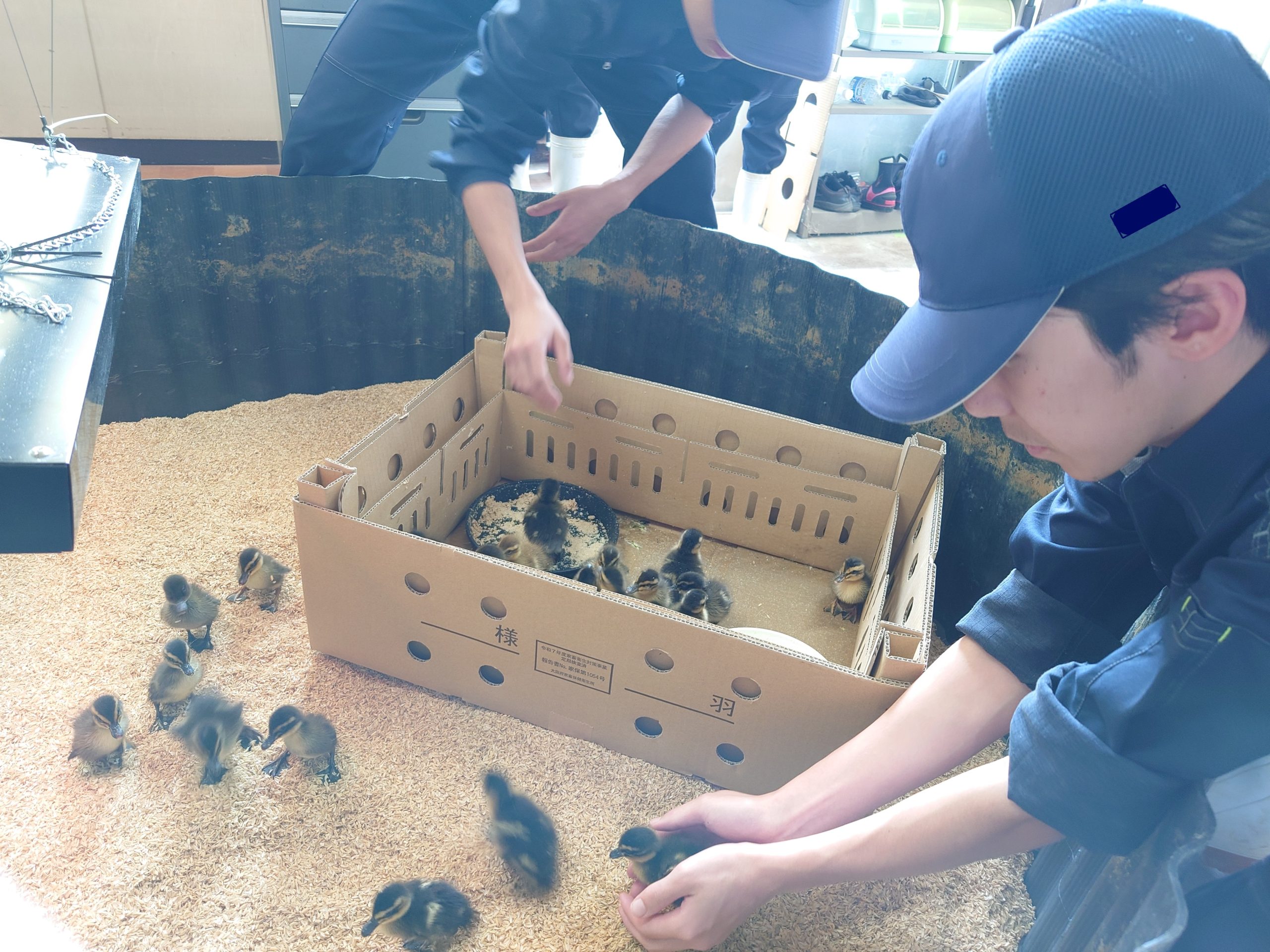 福井農林高等学校