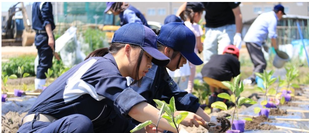 学科案内